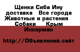 Щенки Сиба Ину доставка - Все города Животные и растения » Собаки   . Крым,Инкерман